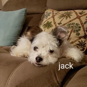 Meet your Posher, Debbie